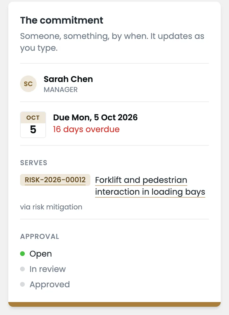 Action owner, due date and the risk it serves